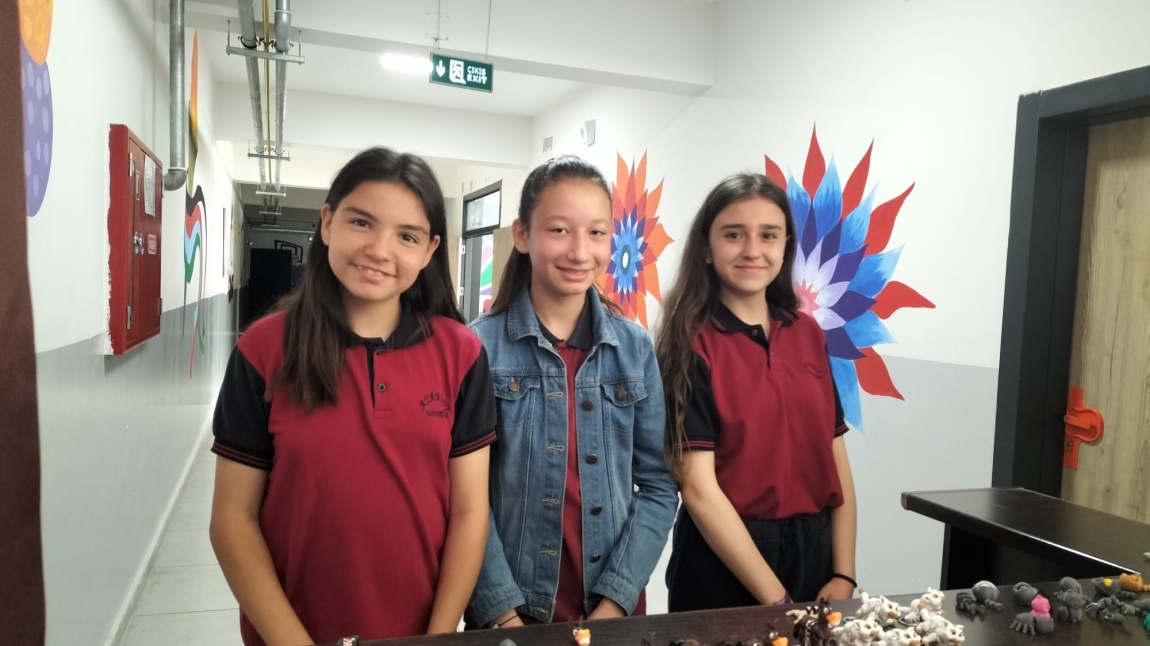 Sosyal Sorumluluk Projesi